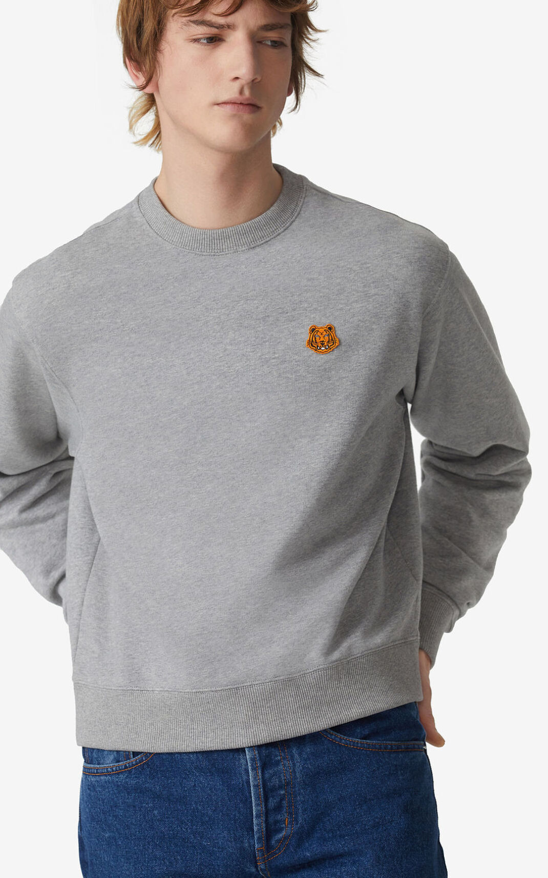 Kenzo Tiger Crest Sudadera Hombre Gris | 2910435-LW